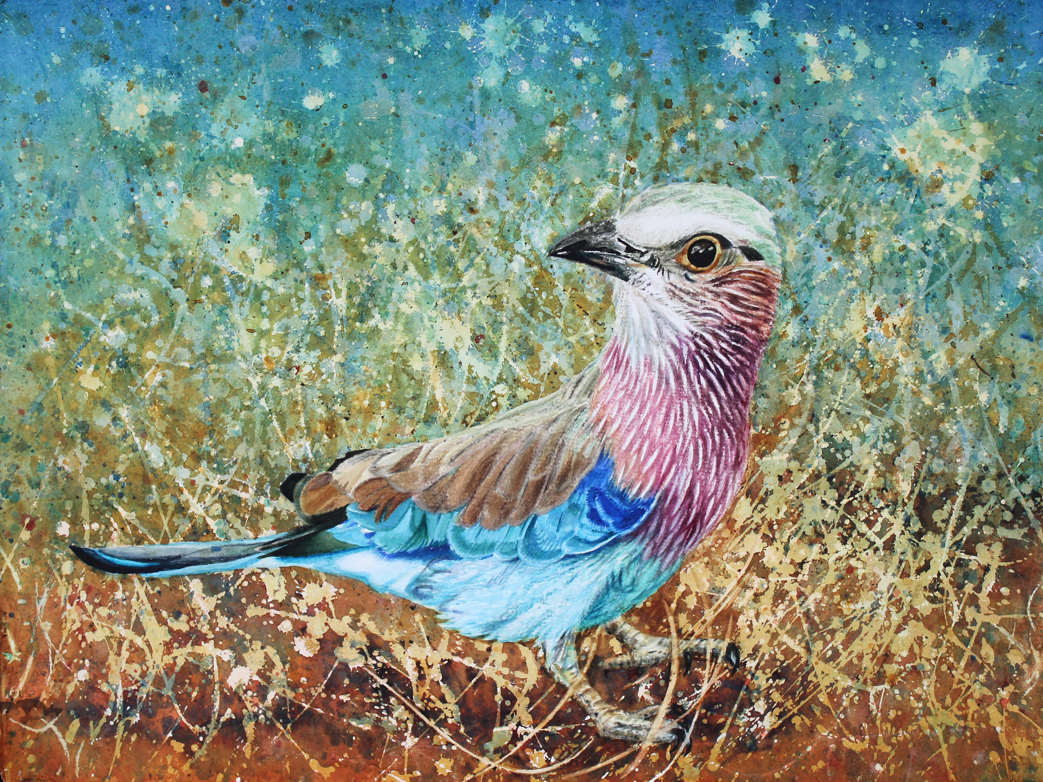 Lilac Breasted Roller large
