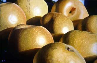 Pears as Landscape